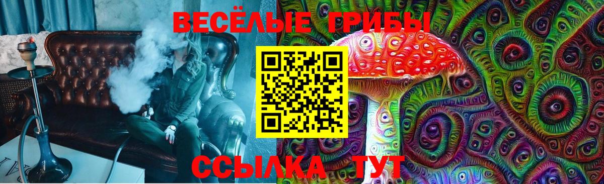 Новотроицк  Псилоцибиновые грибы Psilocybine cubensis  закладка  Вход с VPN 